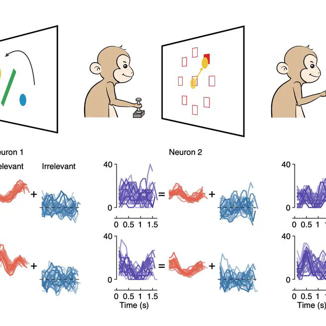 Revealing unexpected complex encoding but simple decoding mechanisms in motor cortex via separating behaviorally relevant neural signals