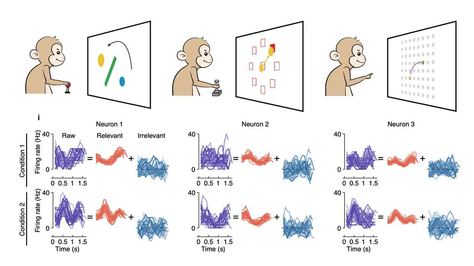 Revealing unexpected complex encoding but simple decoding mechanisms in motor cortex via separating behaviorally relevant neural signals